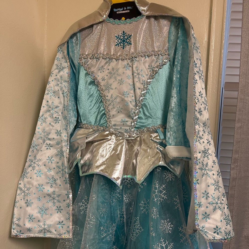 Frozen princess disguise for childrens
